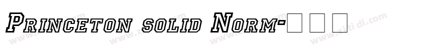 Princeton solid Norm字体转换